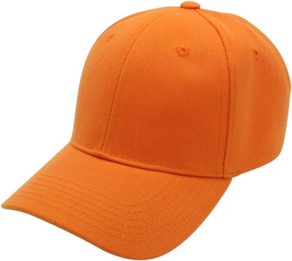 61cBpVhtPoL._AC_SL1100